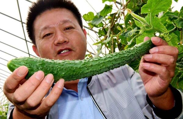生鮮食材配送為什么大多不能與客戶建立長期合作？